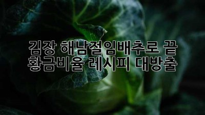 김장, 해남절임배추로 끝! 🤩 황금비율 레시피 대방출