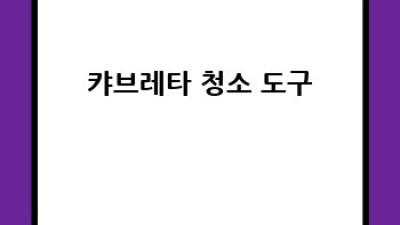 캬브레타 세정제 득템 후기: 나만의 꿀팁 대방출!